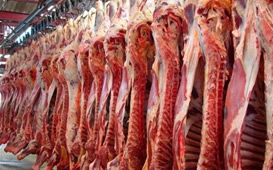 Beef Carcass